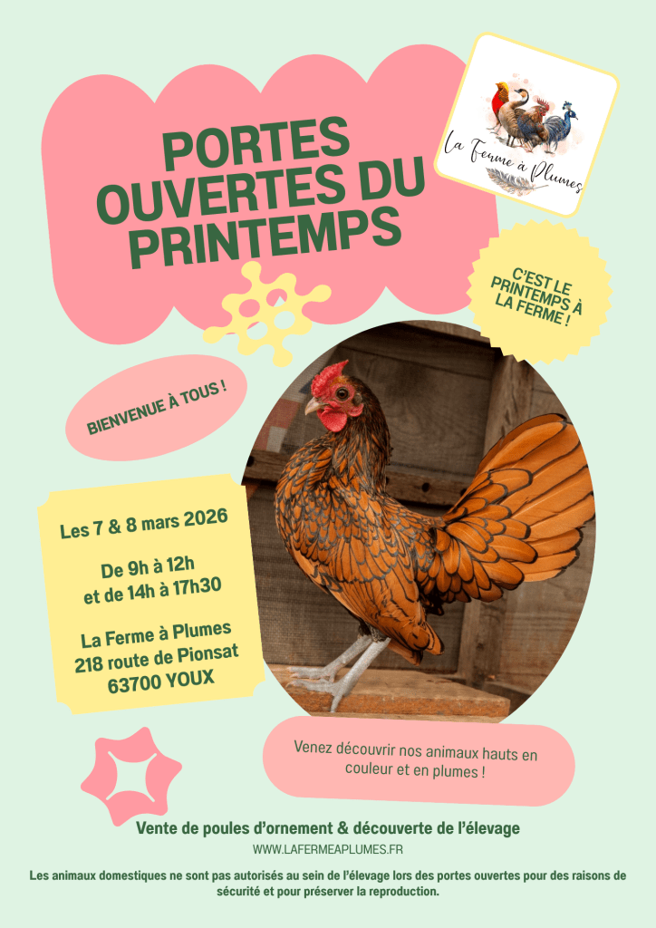 Flyer - Porte Ouverte Printanière(2)