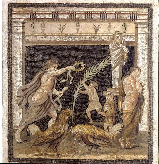 L’histoire de la domestication des poules : de l’Antiquité à aujourd’hui